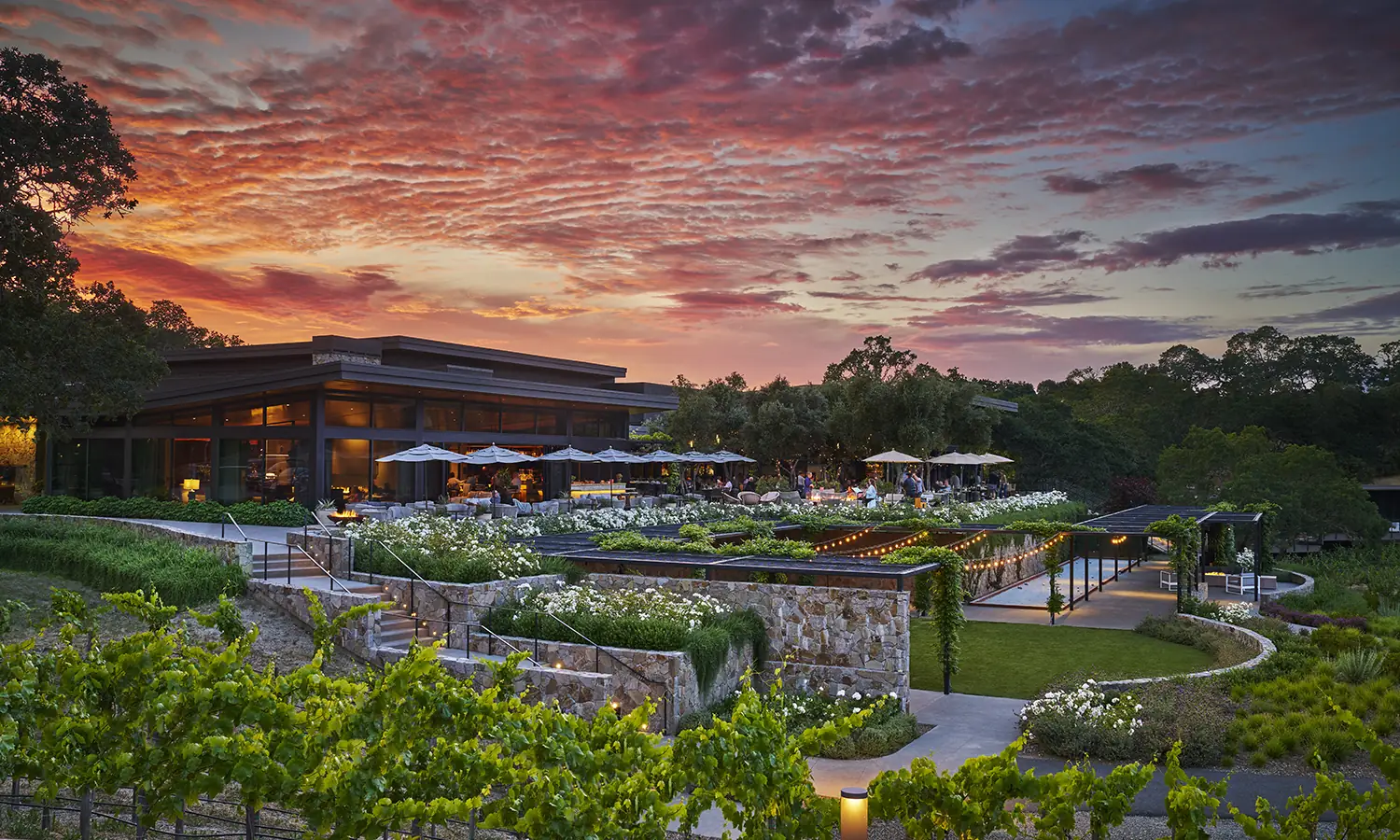 Montage Healdsburg at sunset