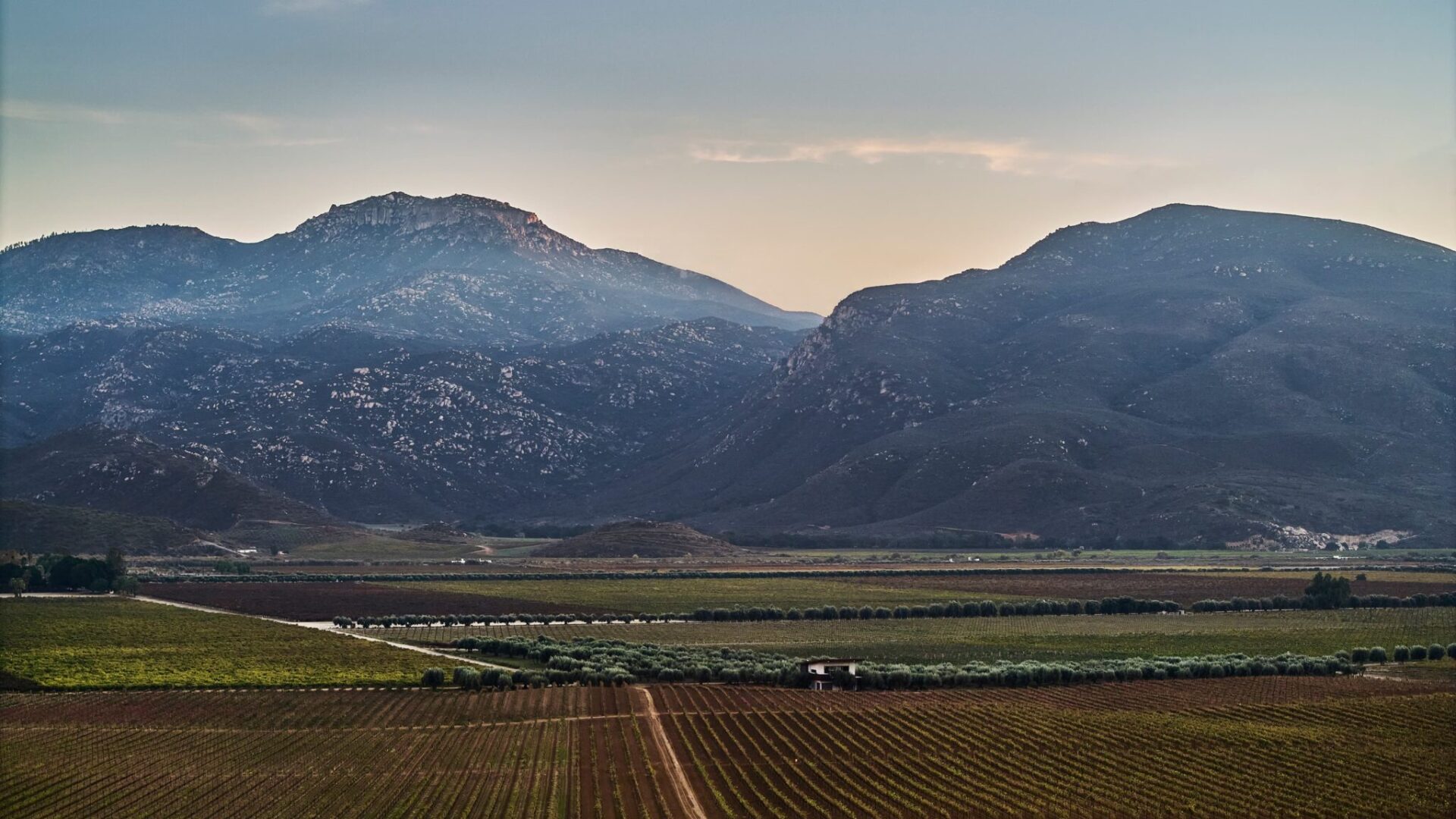 Destination of Valle de Guadalupe
