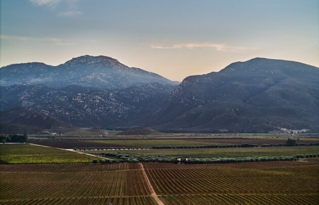 Destination of Valle de Guadalupe