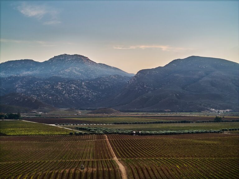 Destination of Valle de Guadalupe