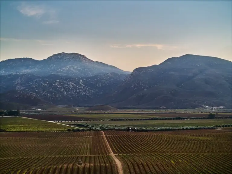 Destination of Valle de Guadalupe