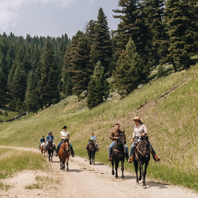 people riding horses