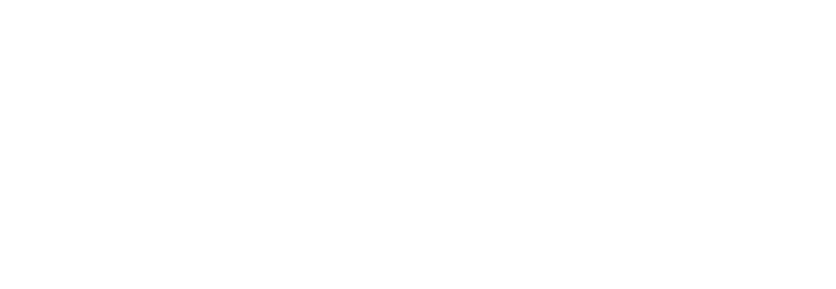 Montage Big Sky White Logo