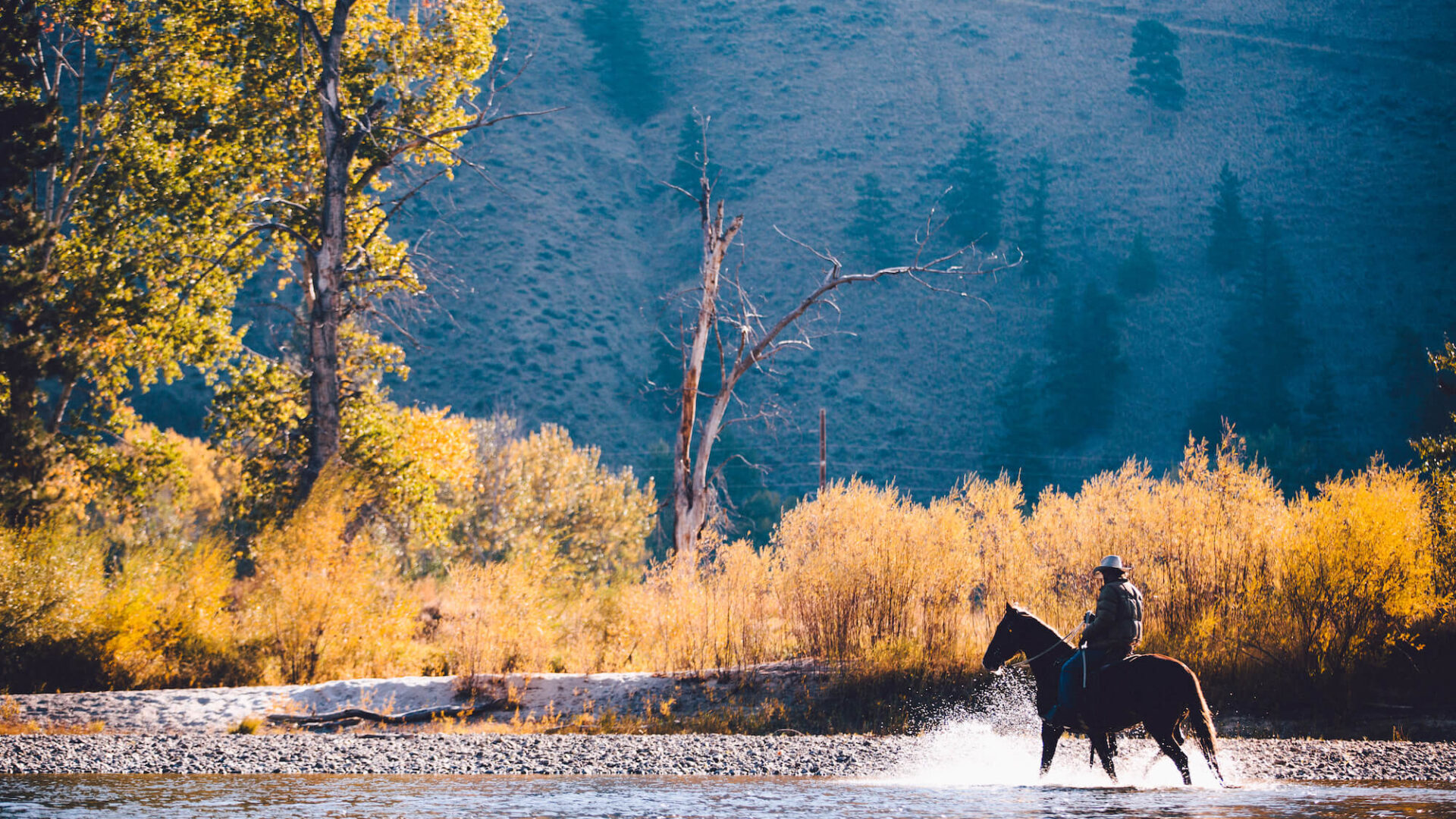 Man riding a horse in the river.