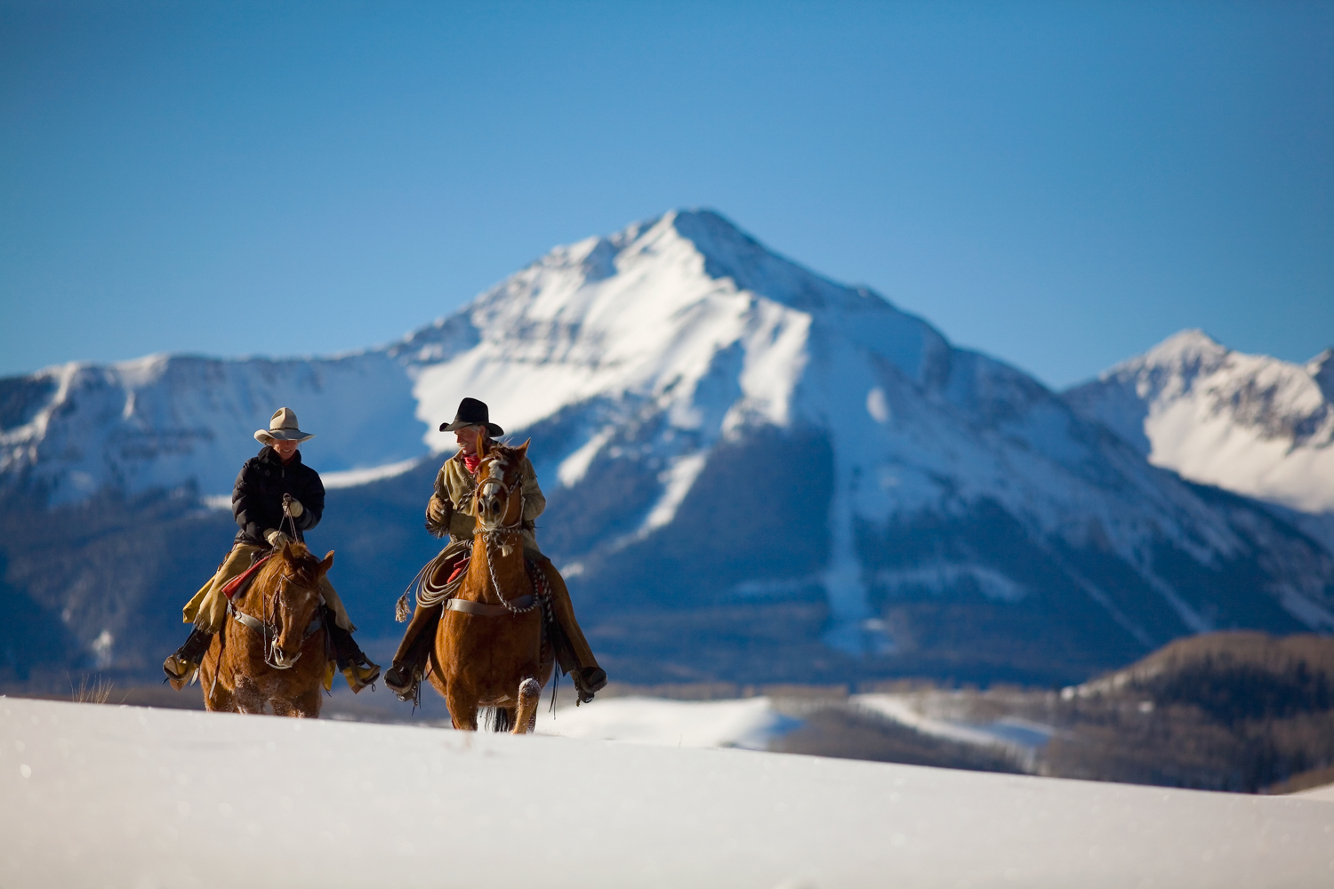 Riding Horses in the Snow