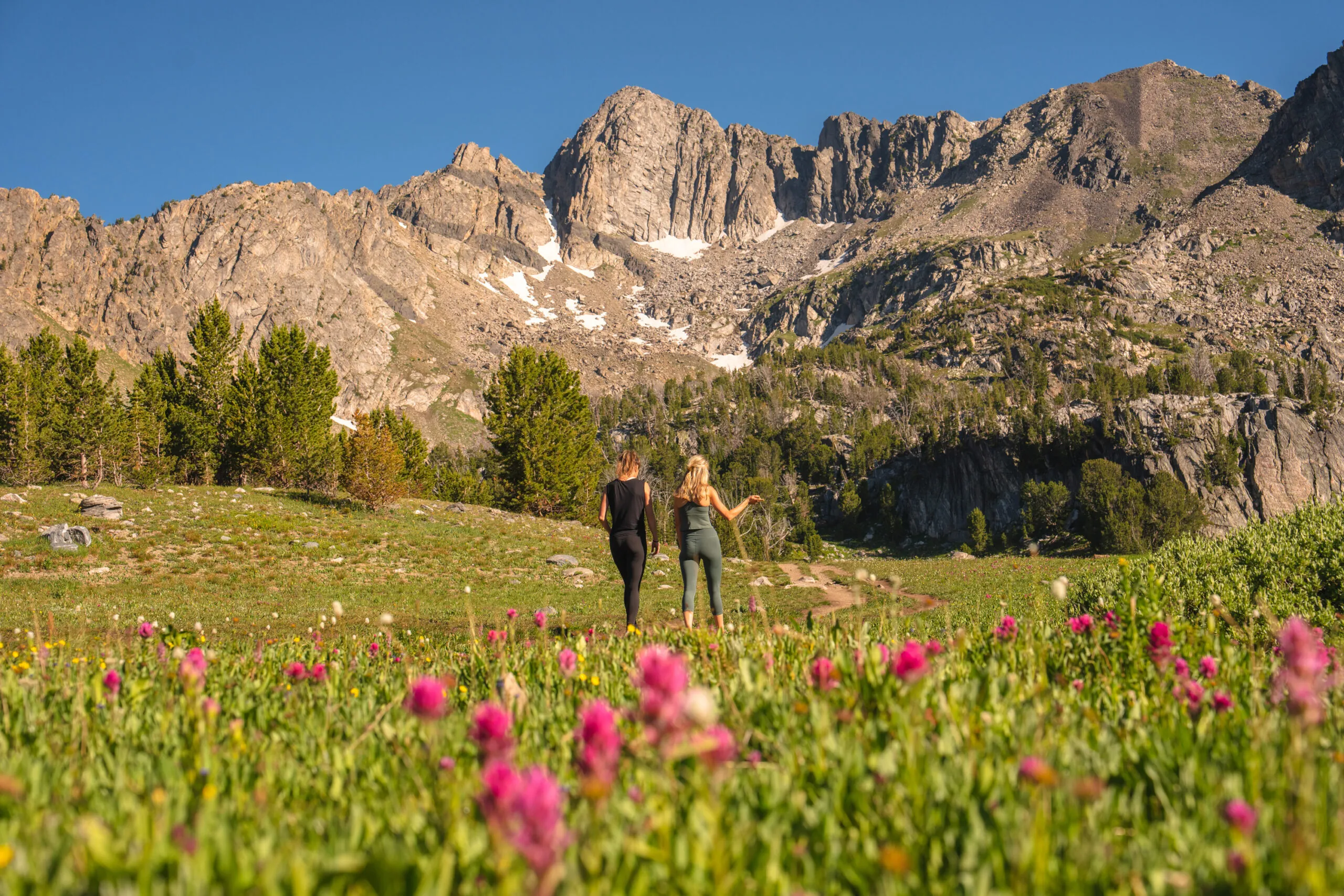 Hikers in the mountains