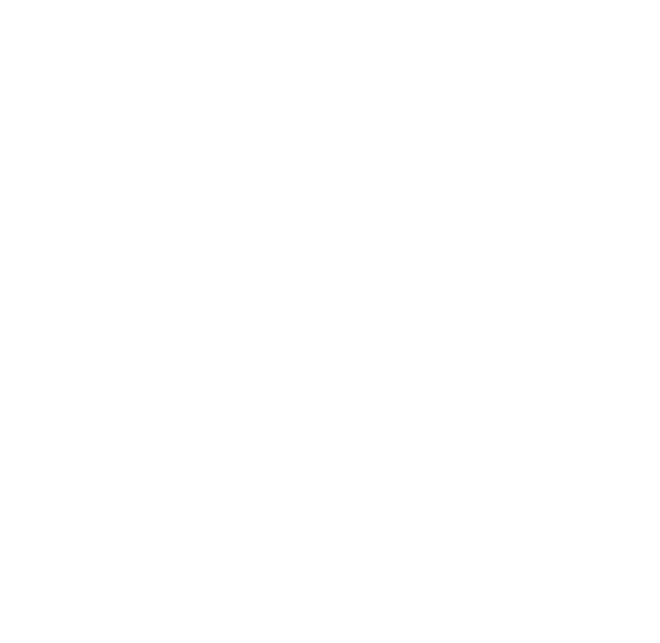 Beartooth-Logo