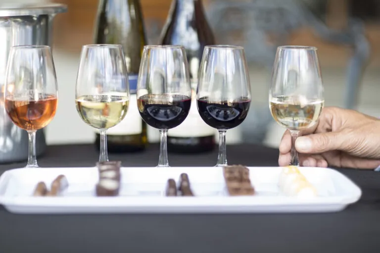 wine tasting paired with chocolate.