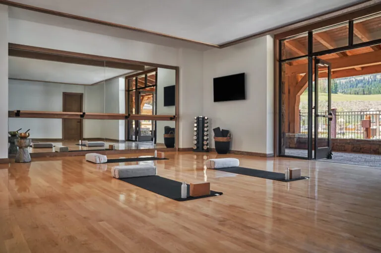 Open air motion studio with two yoga mats on the wood floor.