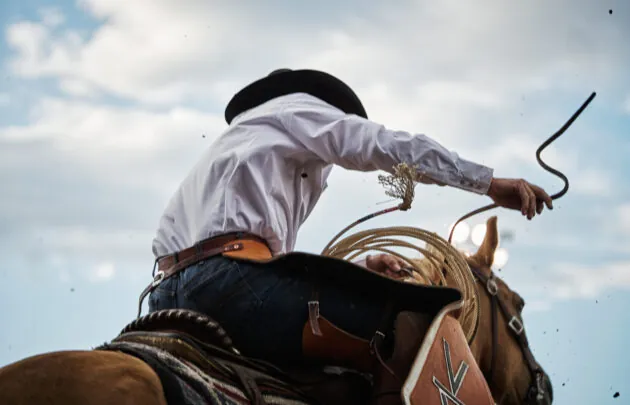 Cowboy with a rope