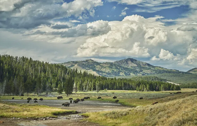Yellowstone National Park in Big Sky, Montana