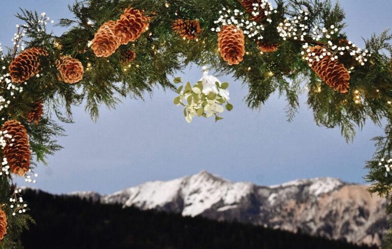 Montage Mistletoe