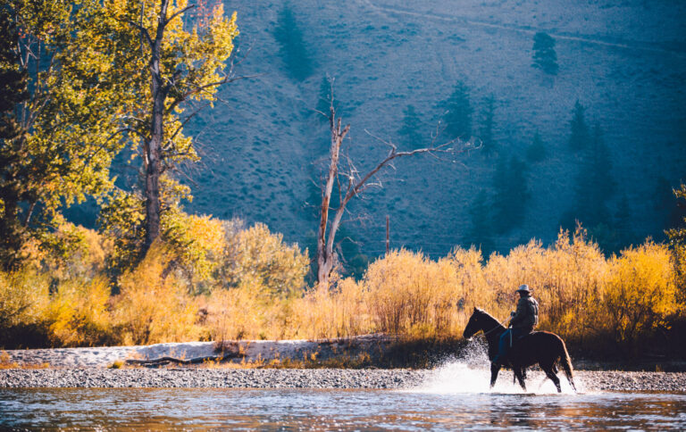 Fall Horseback