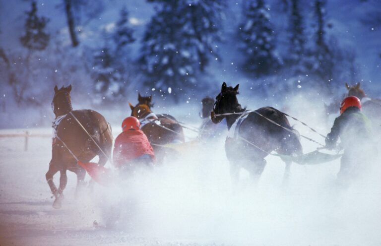 Skijoring
