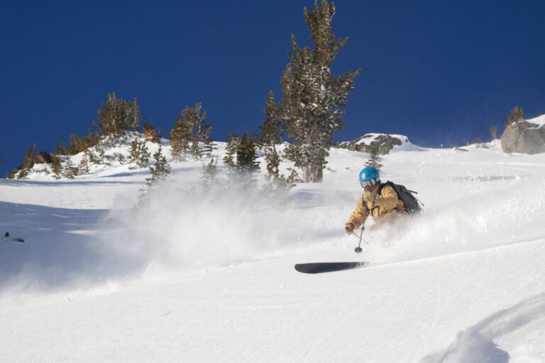 Skiing Powder