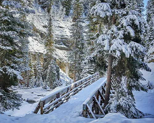 Bridge covered in snow