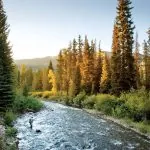 Local Fly Fishing
