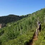Mid Mountain Trail