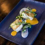 Apex Salmon Dish