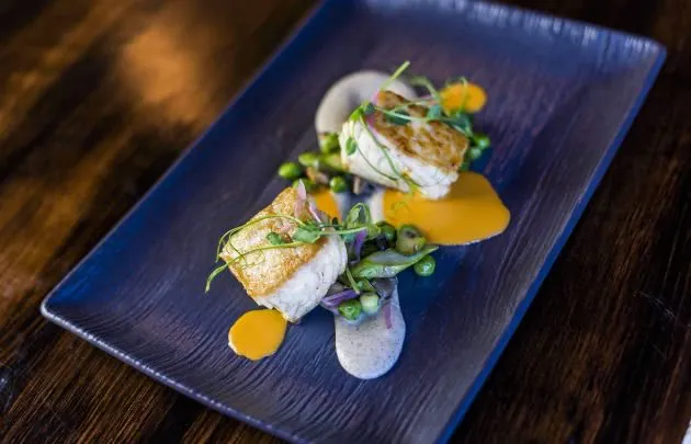 Apex Salmon Dish