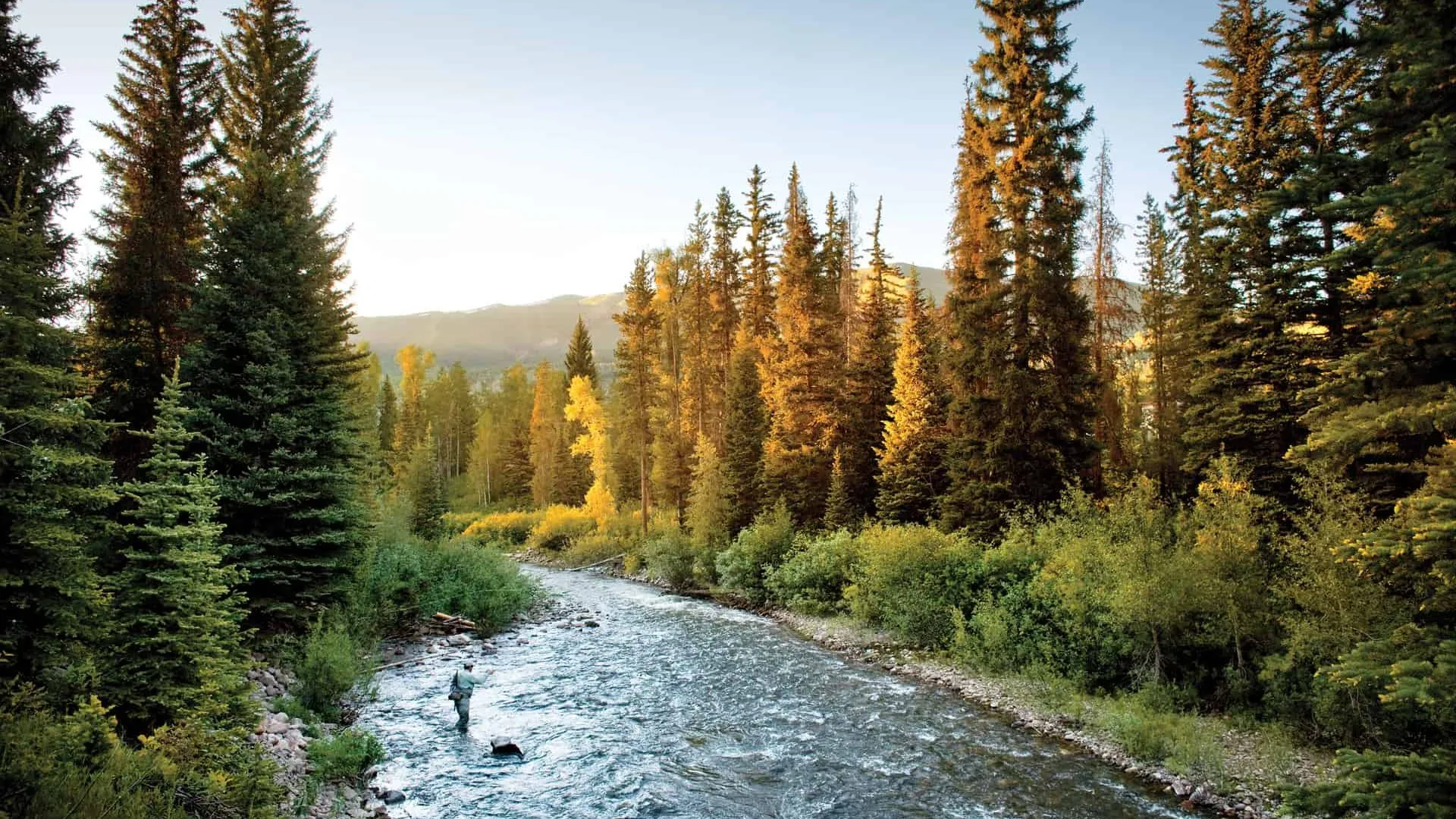 Local Fly Fishing