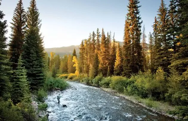 Local Fly Fishing