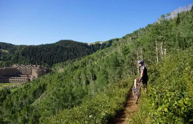 Mid Mountain Trail