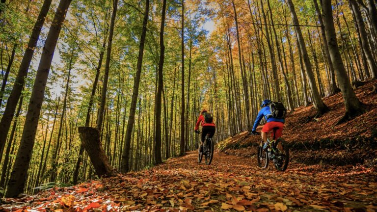 Fall Biking