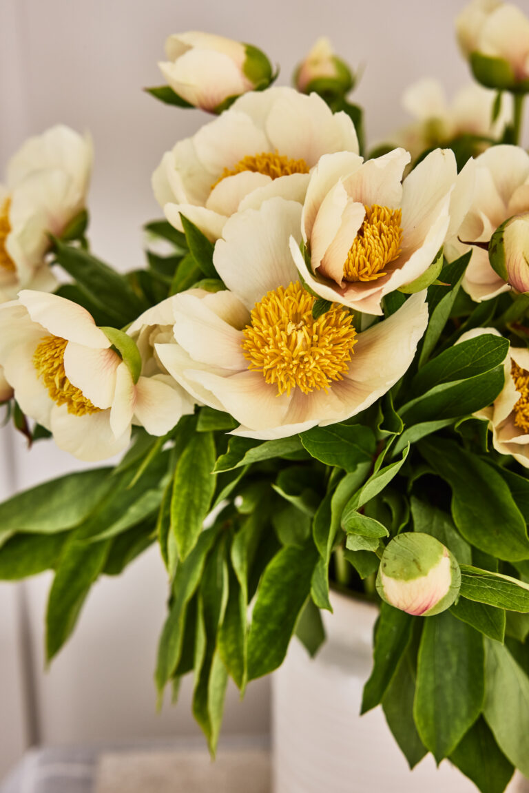 Bouquet Florals