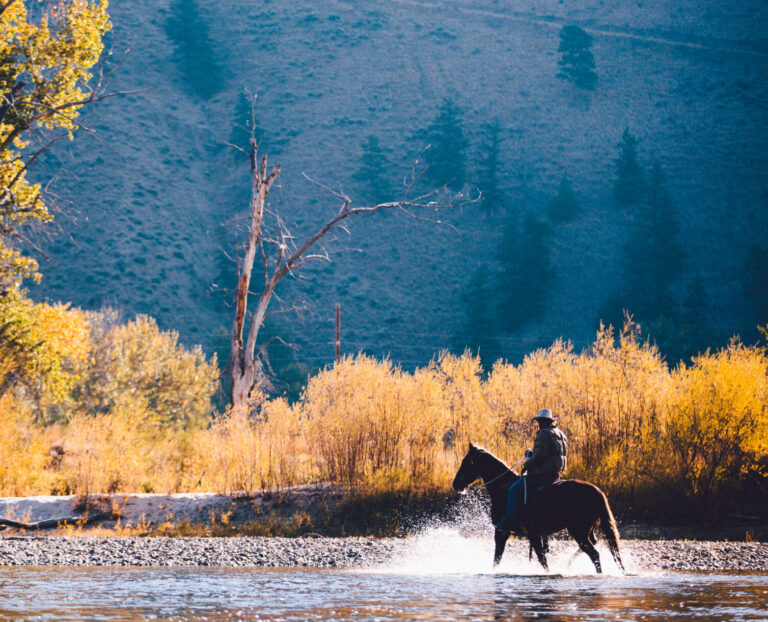 Fall Horseback
