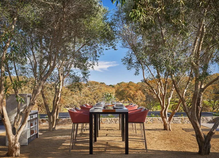 Hazel Hill Olive Terrace