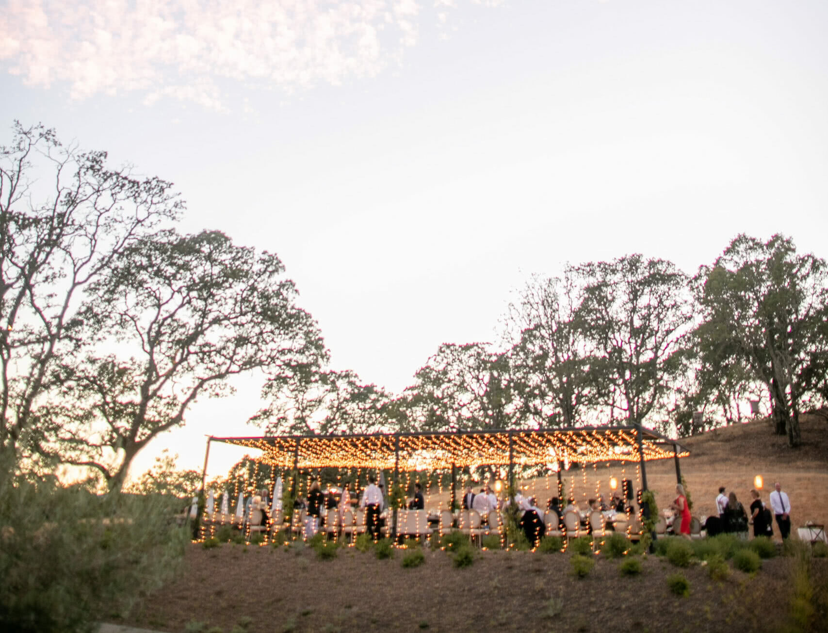 string lights covering pergola with blue sky