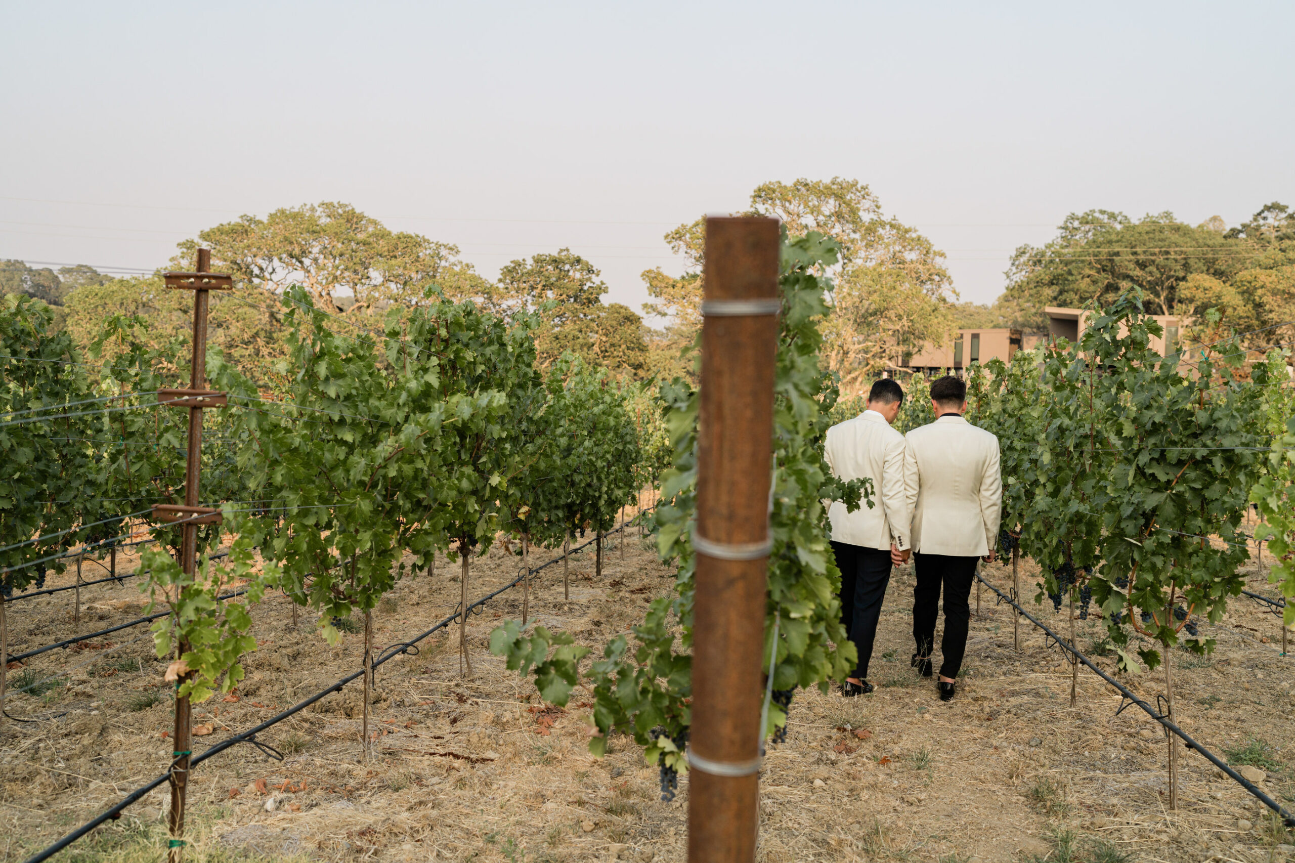 groom and groom on property at Montage Healdsburg
