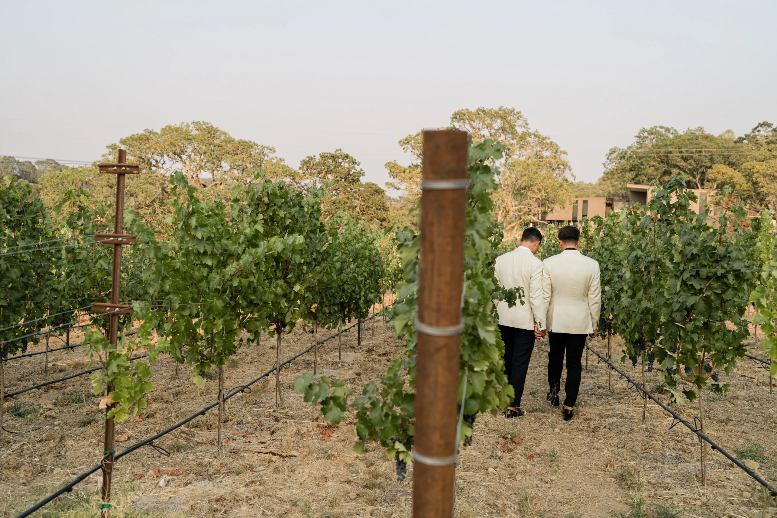 groom and groom on property at Montage Healdsburg
