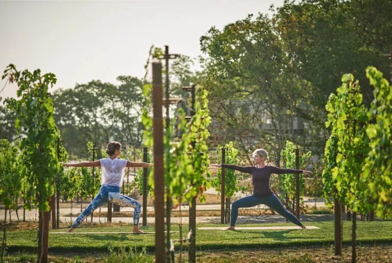 Two women practicing yoga in the vineyards at luxury sonoma county resort, Montage Healdsburg