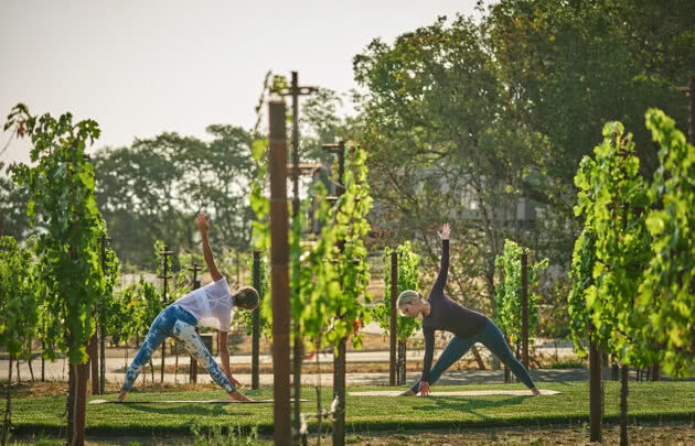 Women doing yoga outside in napa wine country vineyards at Montage Healdsburg