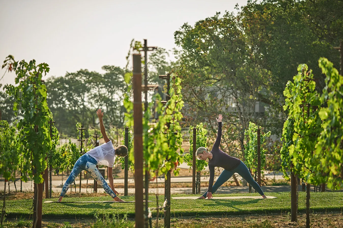 Women doing yoga outside in napa wine country vineyards at Montage Healdsburg