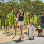 Family walking through the vineyards at napa valley resort, Montage Healdsburg