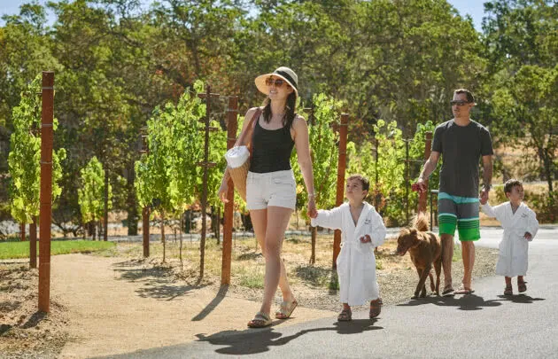 Family walking through the vineyards at napa valley resort, Montage Healdsburg
