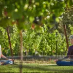 Women doing yoga in the napa valley vineyards at Montage Healdsburg