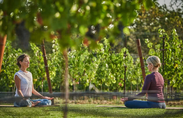 Women doing yoga in the napa valley vineyards at Montage Healdsburg