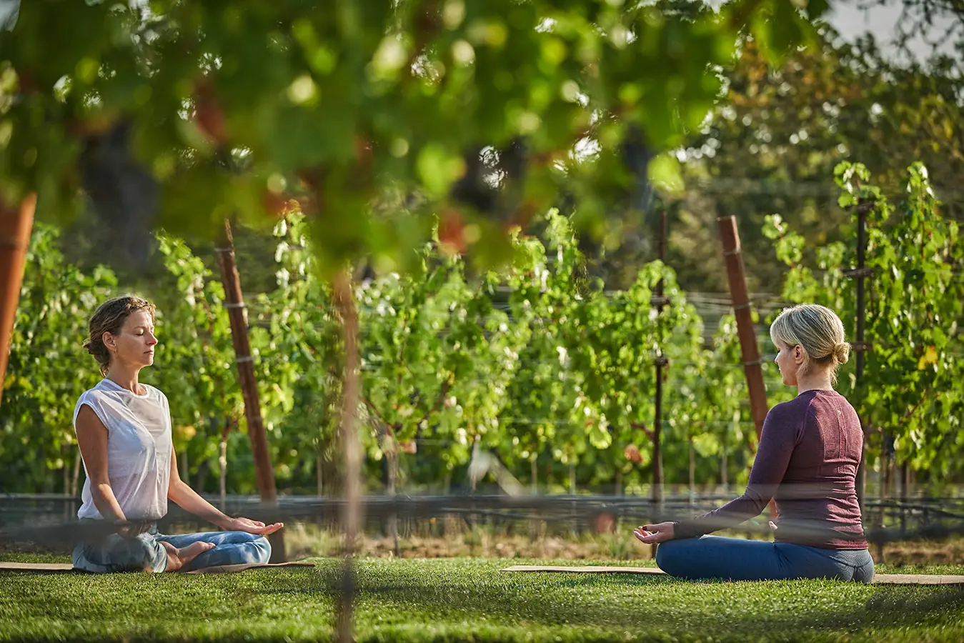 Women doing yoga in the napa valley vineyards at Montage Healdsburg