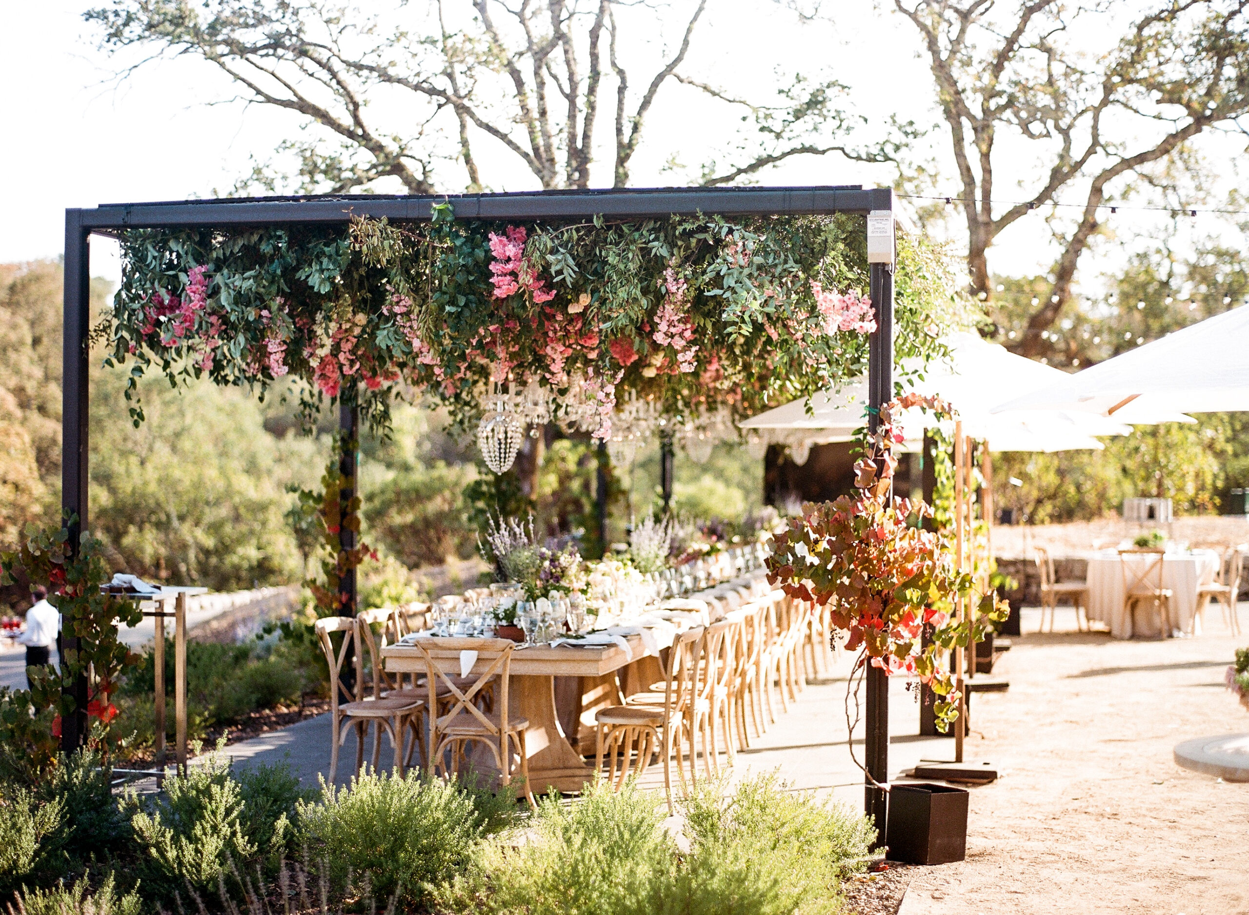 Outdoor Wedding Venue luxury hotel Montage Healdsburg