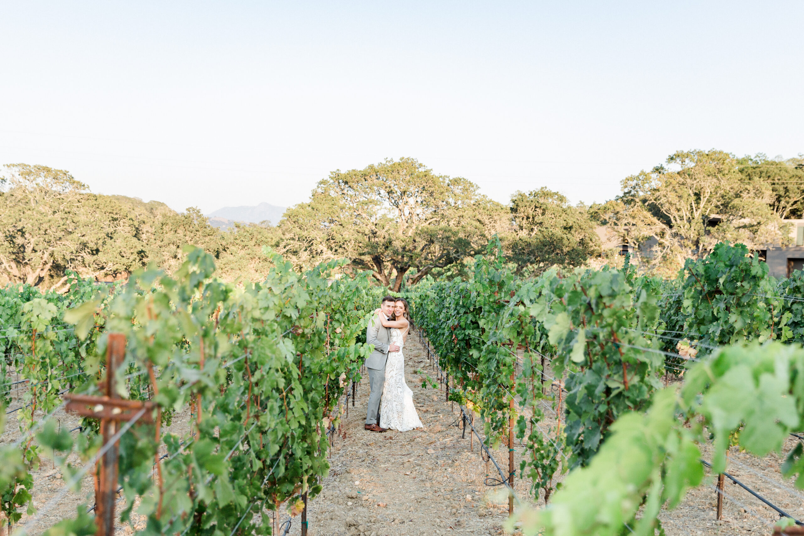 Wedding in the vineyard at Montage Healdsburg