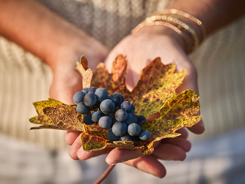 woman holding leaf with grapes