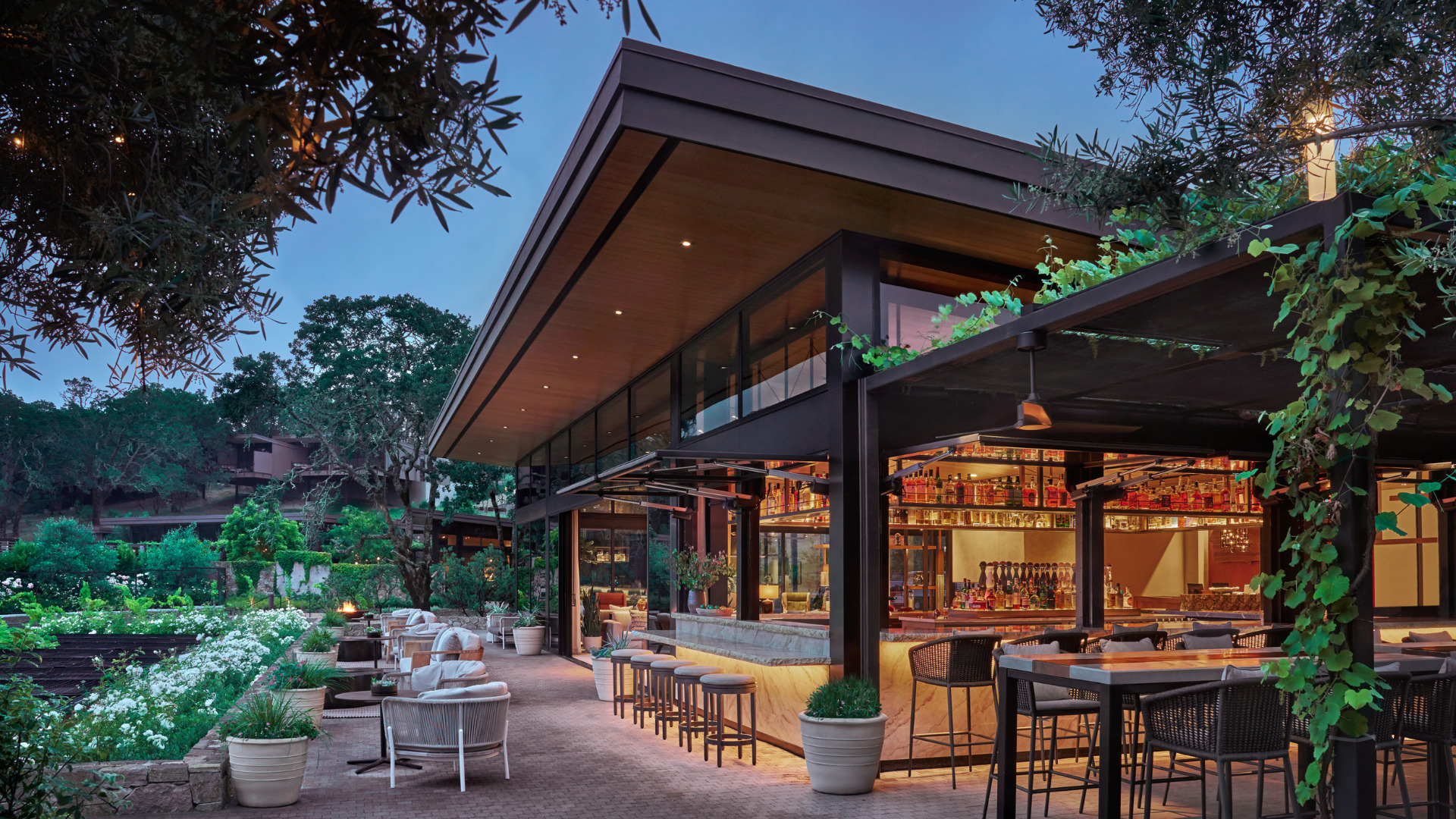 Scout Field Bar Healdsburg Bars Montage Healdsburg