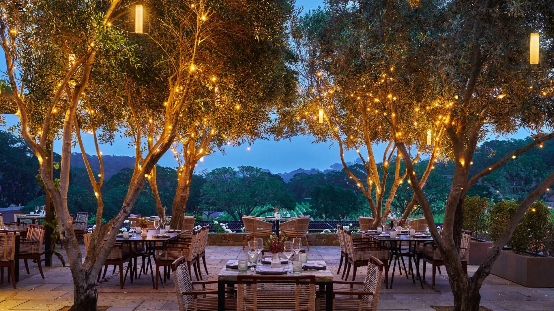 dining terrace with lights in olive trees in the evening at Hazel Hill at Montage Healdsburg