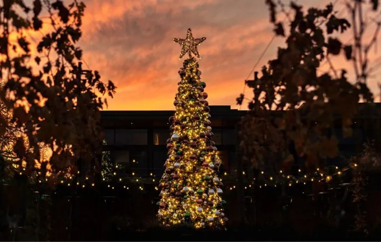 lit Christmas tree
