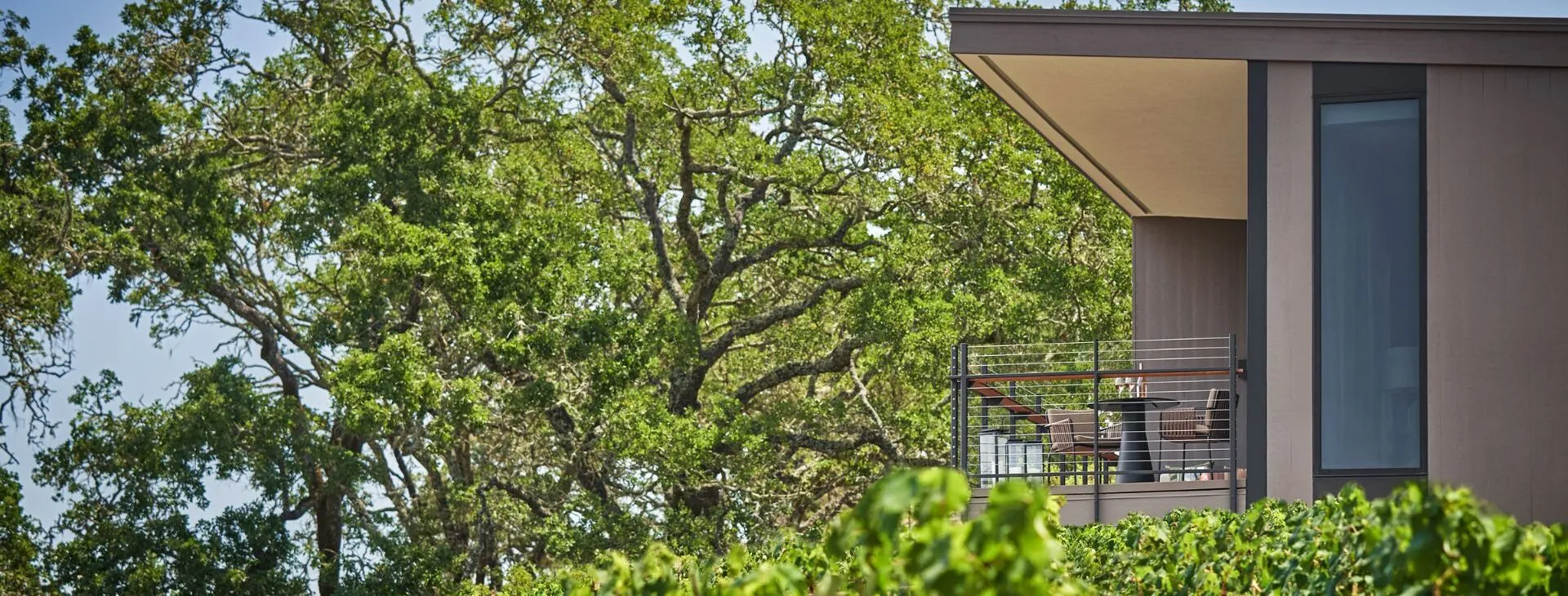 A guesthouse accommodation at Montage Healdsburg, with a balcony overlooking a vineyard.