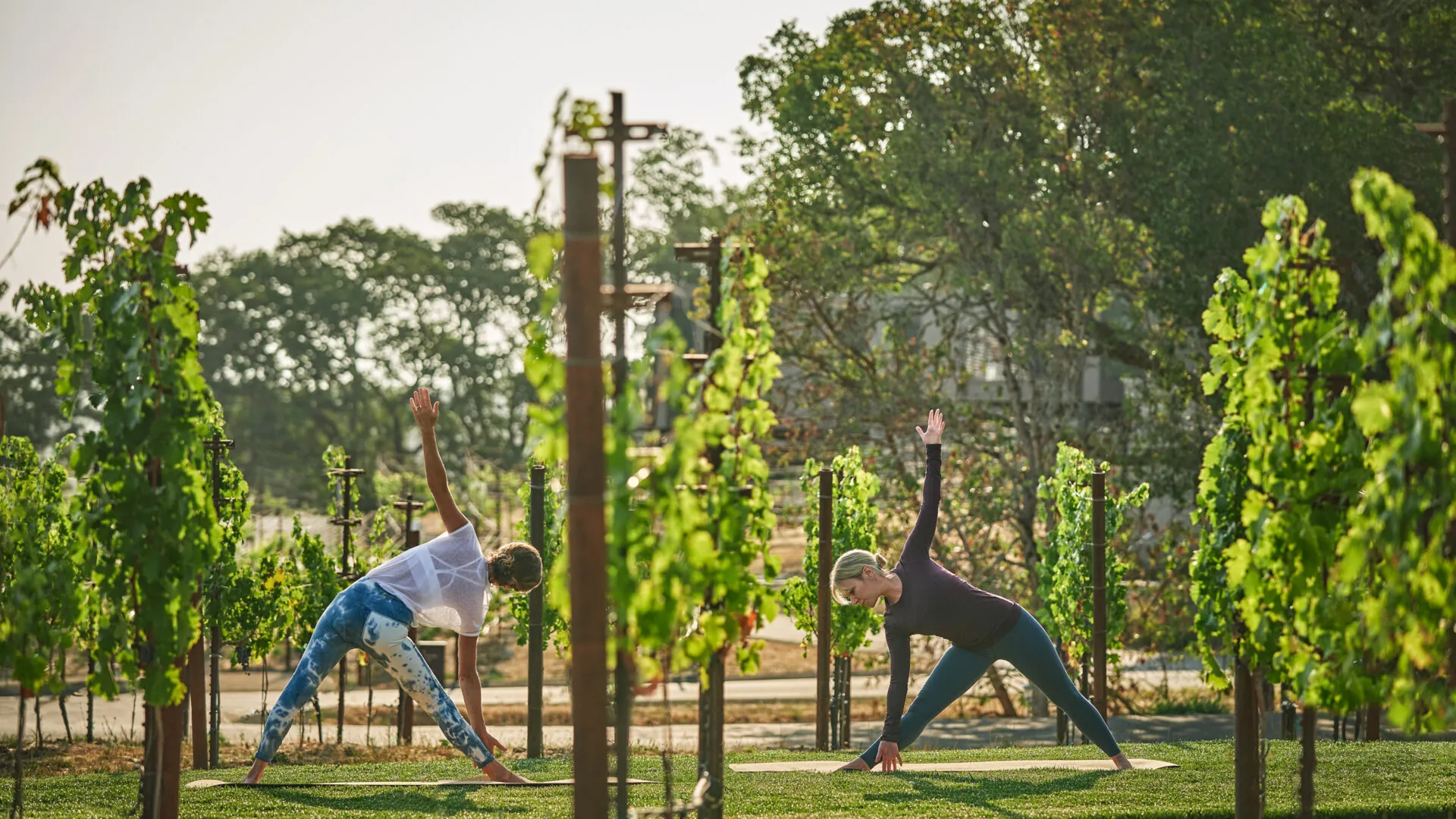 Two woman doing yoga in the vineyard at Montage Healdsburg